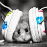 Profile Picture of Eric Hamer (@thr365) on Pinterest