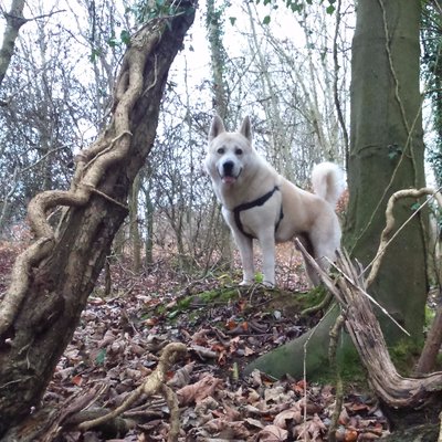 Profile Picture of Lorraine Marshall (@MjjacsmLorraine) on Twitter