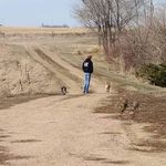 Profile Picture of Randy Scofield (@randykewrs78) on Instagram