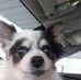 Profile Picture of JoAnn Schroeder (@joann.schroeder.52090) on Facebook