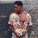 Profile Picture of Stephen Hollywood Bear (@stevie_bear) on Instagram