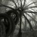Profile Picture of Dorothy Engstrom (@Dorothy-Engstrom) on Facebook