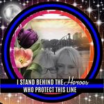 Profile Picture of Ann Witkowski (@catlady_44) on Instagram