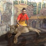 Profile Picture of josephsakr88 (@josephsakr88) on Instagram