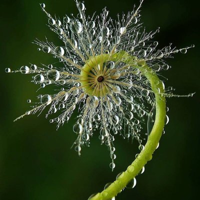 Profile Picture of Maryam.Yazdani (@MaryamYazdani8) on Twitter