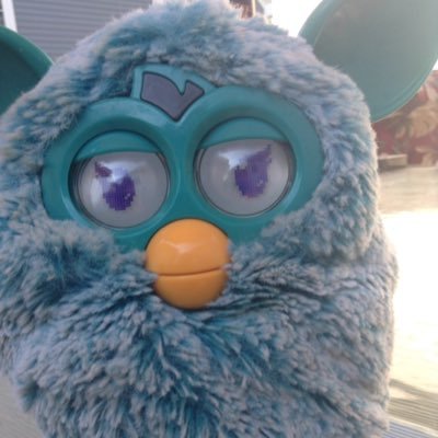 Profile Picture of Brian (@BrianTheFurby) on Twitter