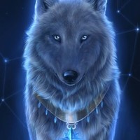 Profile Picture of Cierra Wolf (@cierra-wolf) on Quora
