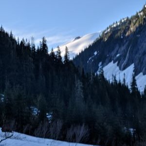 Profile Picture of Rex Olson (@OlsonRex) on Twitter