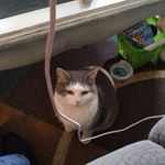 Profile Picture of Teri Barnett (@termark2004) on Instagram