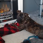 Profile Picture of Gary Pinnock (@gary.pinnock.129) on Instagram