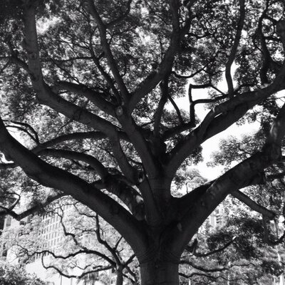 Profile Picture of Suzanne Schmidt (@goodthoughts2u) on Twitter