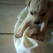 Profile Picture of Bianca George (@biancageorge7396) on Youtube