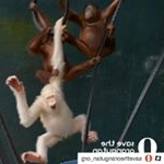 Profile Picture of Yolanda olmos (@yolanda_71bp) on Instagram