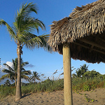 Profile Picture of Kevin Carroll (@kevin's renovations) on Flickr