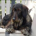 Profile Picture of Bobby Lough Hackett (@bobby.l.hackett) on Instagram