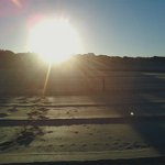 Profile Picture of Michael Chestnut (@bitgamefluent) on Instagram