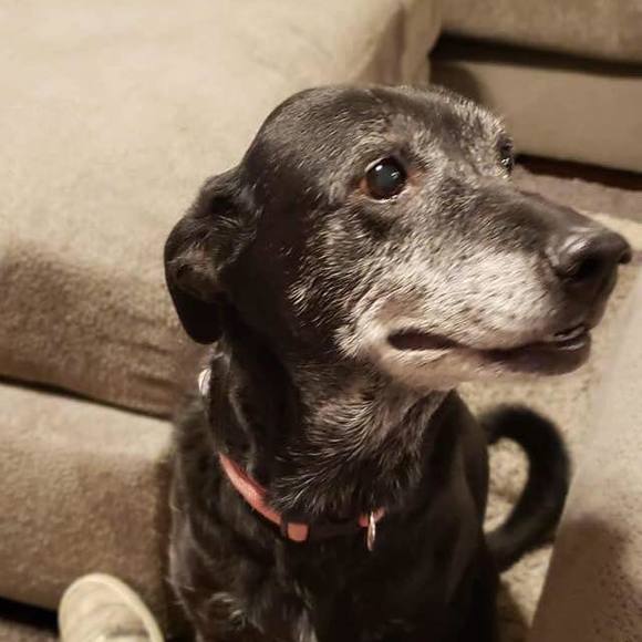 Skylar Rick - Poshmark Profile Picture of Skylar Rick (@skylarrick2002) on Poshmark