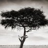 Profile Picture of David Leacock (@david-leacock-3) on Quora