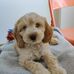 Profile Picture of Ellis Kempner (@ellis.kempner.12) on Facebook