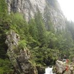 Profile Picture of Paula Kastner (@kastnerpaula) on Instagram