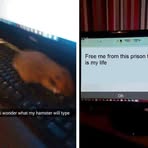 Profile Picture of John Staehle (@john.staehle.756) on Facebook