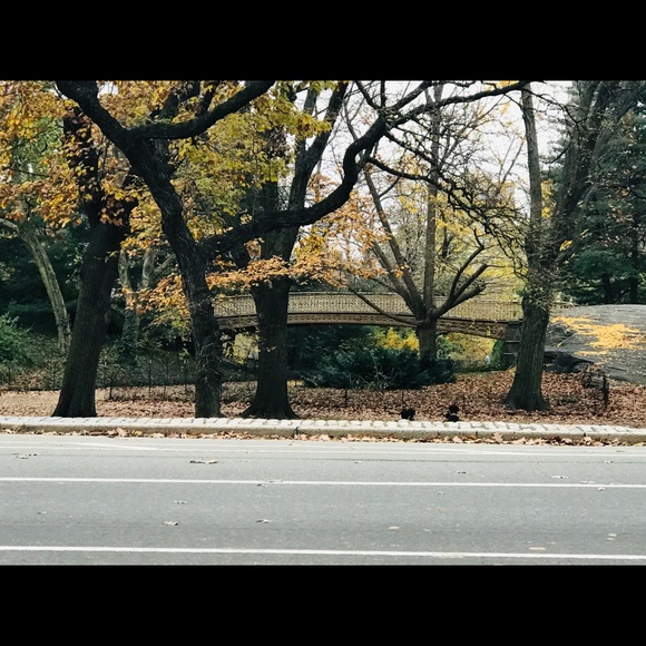 Profile Picture of James Somers (@jamessomers) on Poshmark