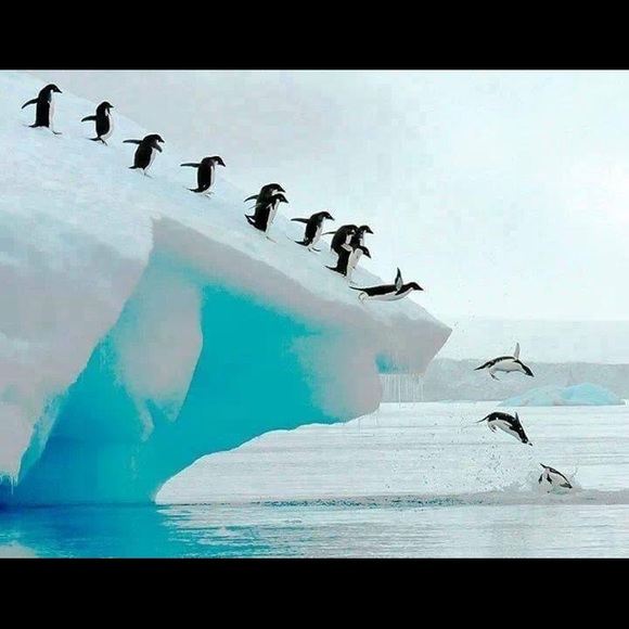 Profile Picture of Michelle Nestler-johnston (@shells7981) on Poshmark