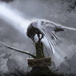 Profile Picture of Tony Arjona (@tony.arjona.9) on Instagram