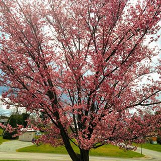 Profile Picture of Myrna Mccloskey (@myrna.mccloskey) on Facebook