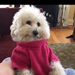 Profile Picture of Bob Jones (@bobjones5864) on Instagram