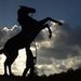 Profile Picture of Brian Starling (@brian4878) on Pinterest