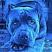 Profile Picture of Lisa Gaines (@kanelainey8049) on Pinterest