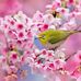 Profile Picture of Dalal Badri (@Dalal-Badri) on Facebook