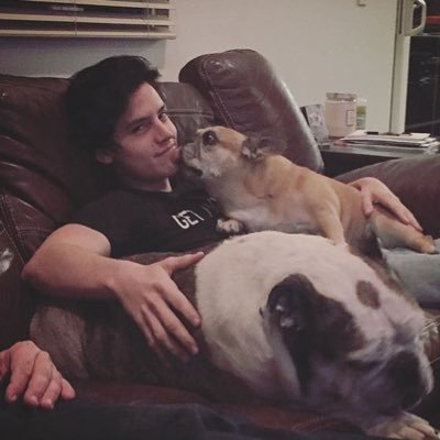 Profile Picture of Robbie McClain (@DANDY_RUDOL) on Twitter