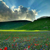 Profile Picture of Behzad Alizadeh (@behzadalizadeh3065) on Youtube