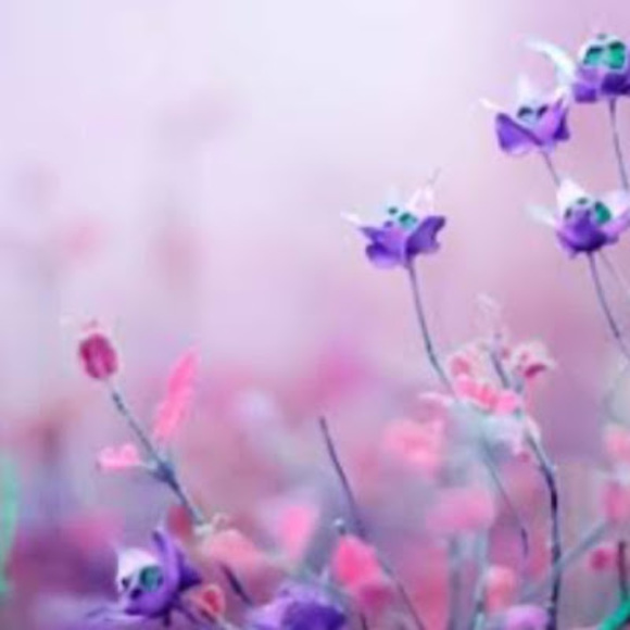 Profile Picture of Mahsa Karimi (@maysak757) on Poshmark