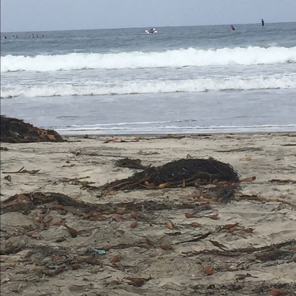 Profile Picture of Samantha Nilan (@snilan411) on Poshmark