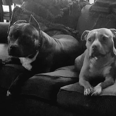 Profile Picture of JERMAINE JONES (@IAMJERMAINEJ_) on Twitter