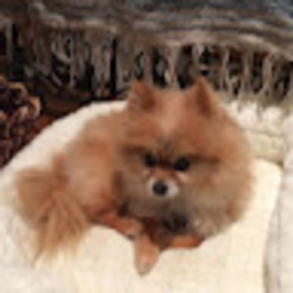 Profile Picture of Peggy Disbennett (@peggydisbennett) on Poshmark