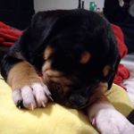 Mandy Forbis - Instagram Profile Picture of Mandy Forbis (@mandy.forbis.7) on Instagram