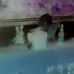 Profile Picture of David Plaisir (@david.plaisir.169) on Facebook