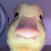 Profile Picture of Steven Gruber (@Veashrem1) on Youtube