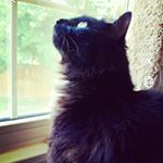 Profile Picture of Bradi Sparkman (@bradisparks) on Instagram
