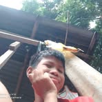 Profile Picture of Michael N Pinon (@Michael-N-Pinon) on Facebook