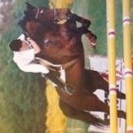 Profile Picture of Jimmy Cormier (@cormierjimmy) on Instagram