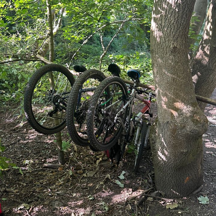 frankie - Tiktok Profile Picture of frankie (@frankie_.511) on Tiktok