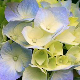 Profile Picture of Carl  Paden (@carl56789) on Twitter