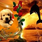 Profile Picture of Thomas-Heister (@thomasheister68) on Instagram