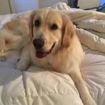 Profile Picture of Jessica Kerger (@jessica.kerger.1) on Facebook