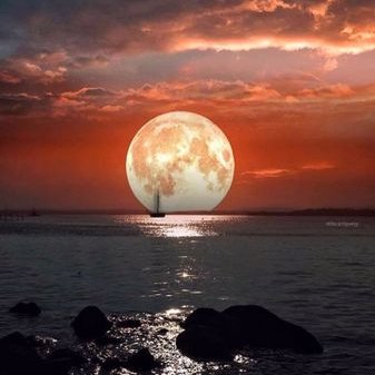 Profile Picture of Hamid Younes (@HamidYounes5) on Twitter